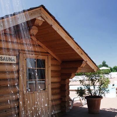 Petit chalet en bois à l'extérieur pour le sauna avec douche devant.